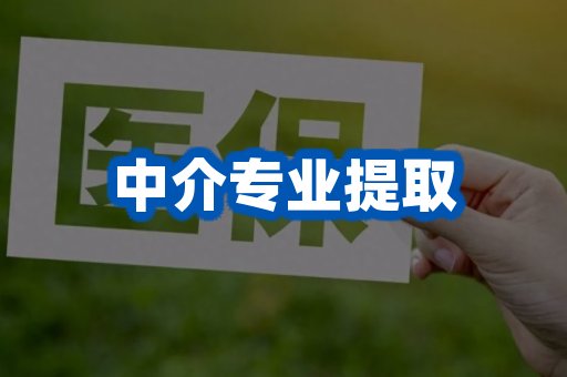中介专业提取